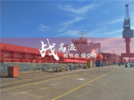 蕪湖造船JSW8000噸散貨船4號船離廠試航