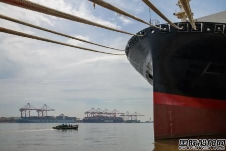 中大型船拖累BDI指數跌至6周新低
