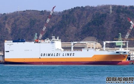 p43%̼ŷFβ촬GrimaldiG5Lb