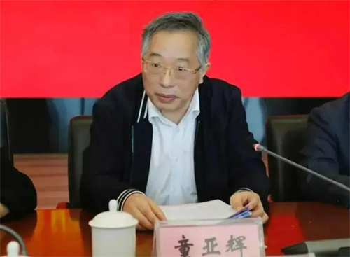 浙能集團原黨委書記、董事長童亞輝主動投案